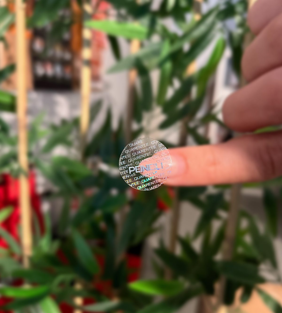 Hologram Etiket / Sticker Baskı - Görsel 2