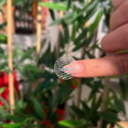 Hologram Etiket / Sticker Baskı