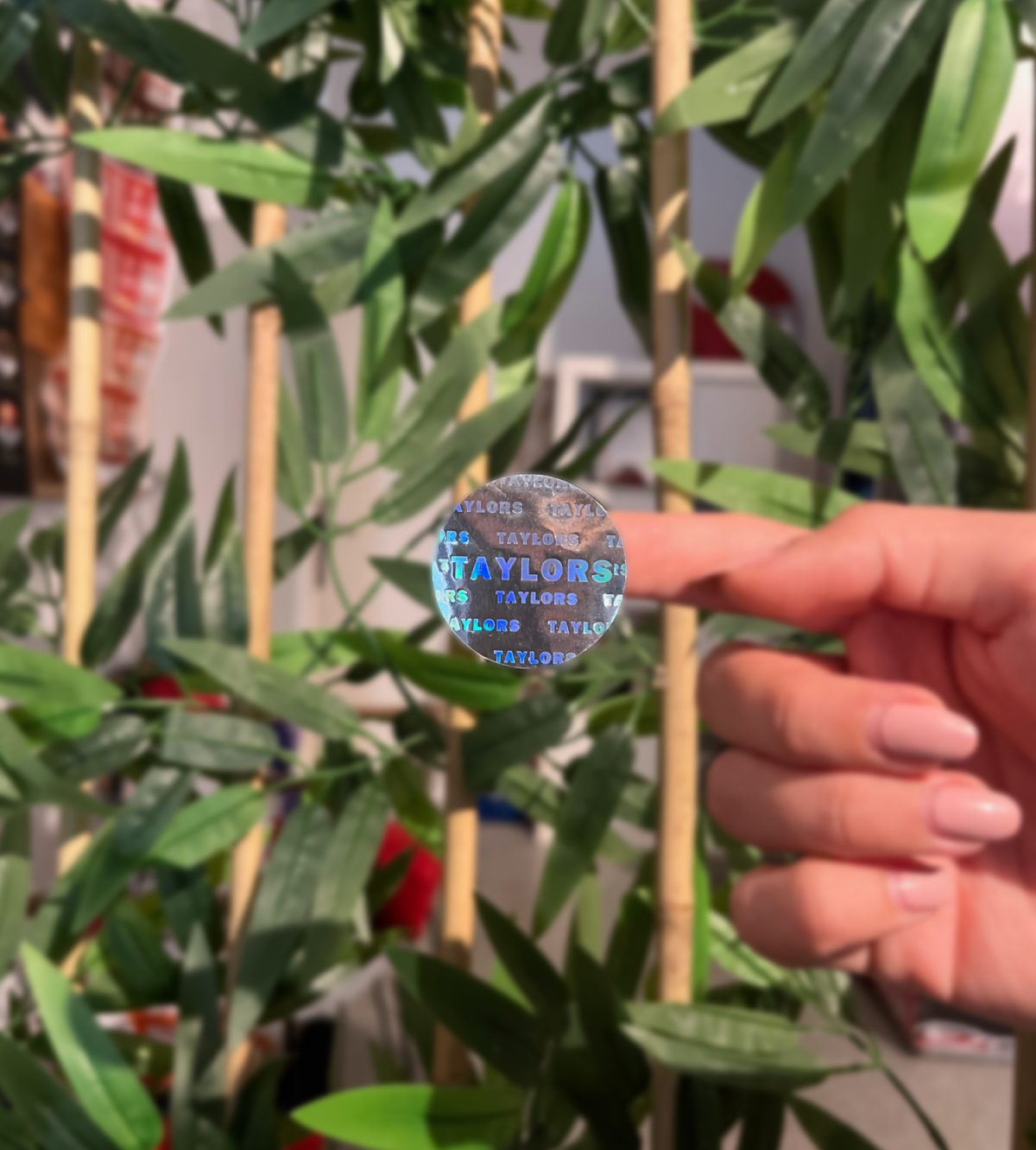 Hologram Etiket / Sticker Baskı - Görsel 4