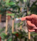 Hologram Etiket / Sticker Baskı - Görsel 3