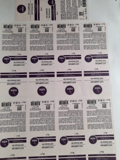 WhatsApp Image 2024-01-31 at 12.15.54