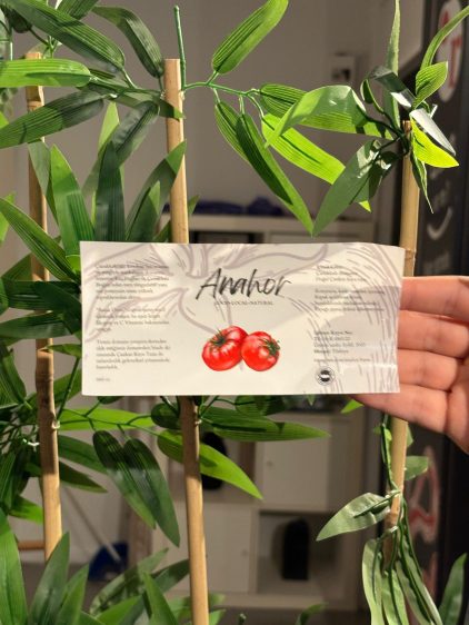 WhatsApp Image 2024-02-27 at 12.50.39 (1)